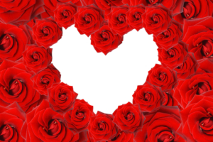 Red Roses & Love Heart6806319008 300x200 - Red Roses & Love Heart - Special, Roses, Love, Heart